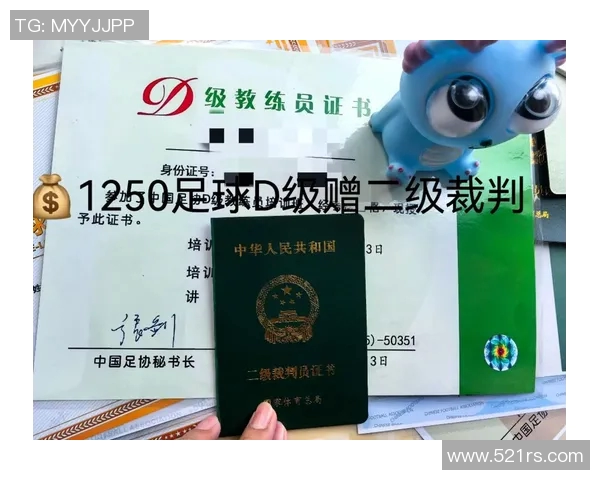 提升足球D级教练员素质的有效策略与实践探索